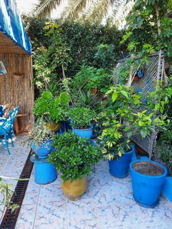 Maison D Hotes Marine Ksar Sghir Екстер'єр фото