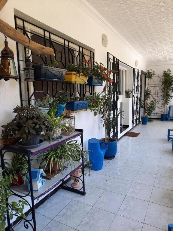 Maison D Hotes Marine Ksar Sghir Екстер'єр фото