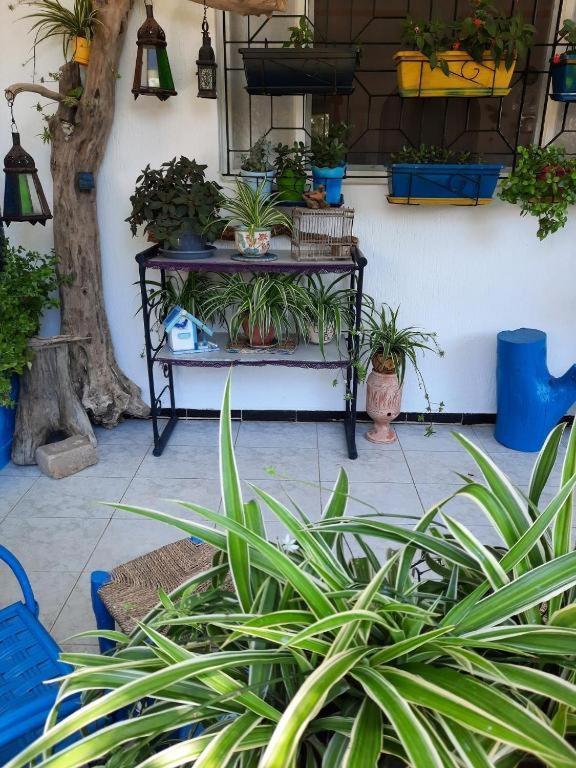 Maison D Hotes Marine Ksar Sghir Екстер'єр фото
