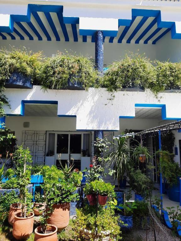 Maison D Hotes Marine Ksar Sghir Екстер'єр фото