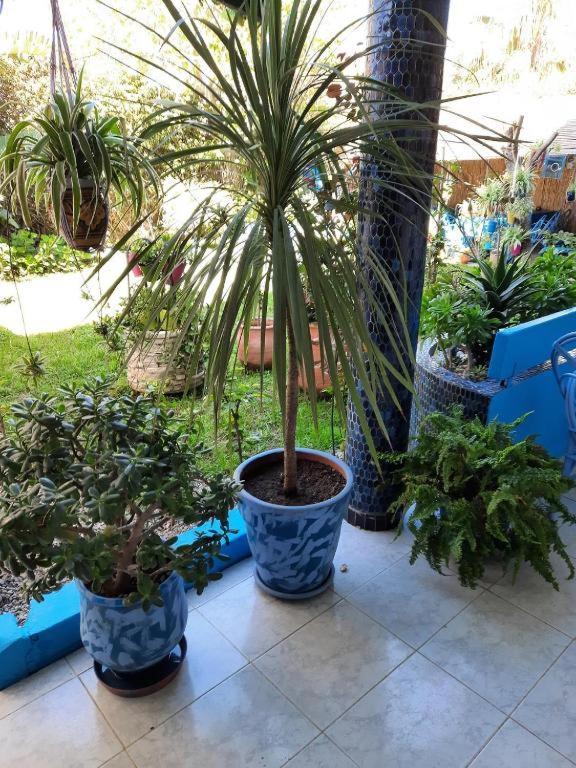 Maison D Hotes Marine Ksar Sghir Екстер'єр фото